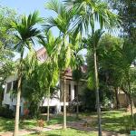 C_GreenYard.jpg C_GreenYard.jpg